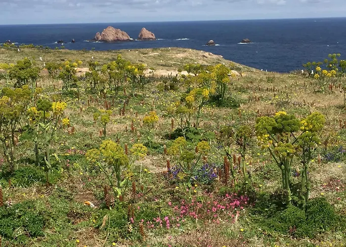 Family With Terrace And Pool *