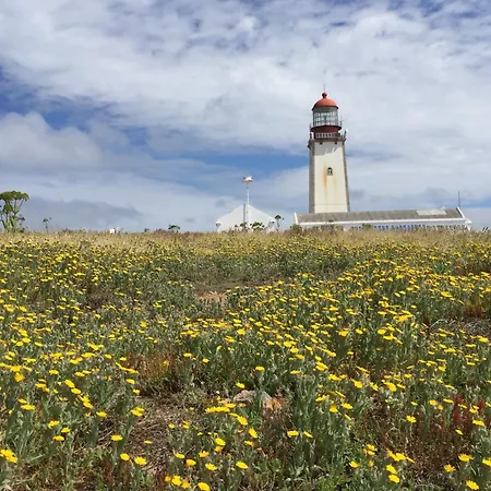 Family With Terrace And Pool * Foz do Arelho